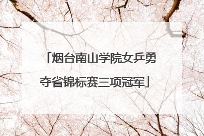 烟台南山学院女乒勇夺省锦标赛三项冠军