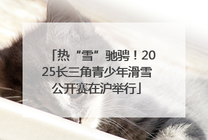 热“雪”驰骋！2025长三角青少年滑雪公开赛在沪举行