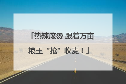 热辣滚烫 跟着万亩粮王“抢”收麦！