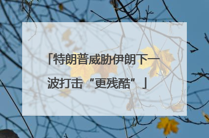 特朗普威胁伊朗下一波打击“更残酷”