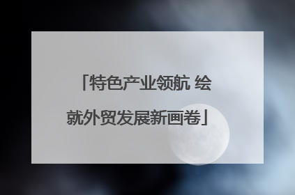 特色产业领航 绘就外贸发展新画卷