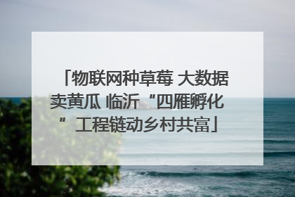 物联网种草莓 大数据卖黄瓜 临沂“四雁孵化”工程链动乡村共富