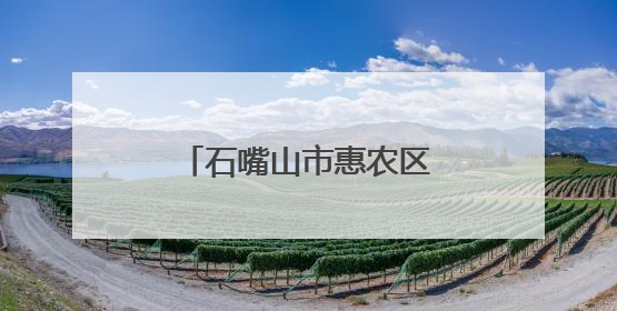 石嘴山市惠农区电商引擎驱动乡村振兴焕发新活力