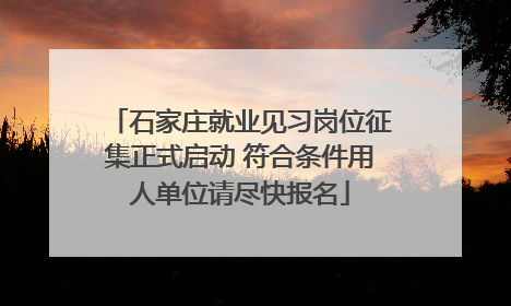 石家庄就业见习岗位征集正式启动 符合条件用人单位请尽快报名