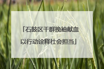 石鼓区干群挽袖献血 以行动诠释社会担当
