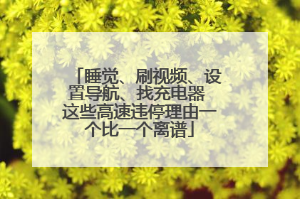 睡觉、刷视频、设置导航、找充电器 这些高速违停理由一个比一个离谱