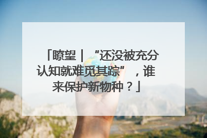 瞭望｜“还没被充分认知就难觅其踪”，谁来保护新物种？