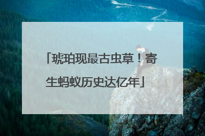 琥珀现最古虫草！寄生蚂蚁历史达亿年