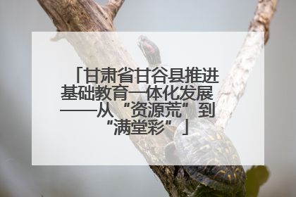 甘肃省甘谷县推进基础教育一体化发展——从“资源荒”到“满堂彩”