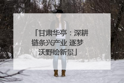 甘肃华亭：深耕链条兴产业 逐梦沃野绘新景