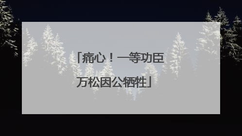 痛心！一等功臣万松因公牺牲