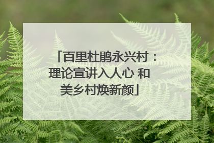 百里杜鹃永兴村：理论宣讲入人心 和美乡村焕新颜