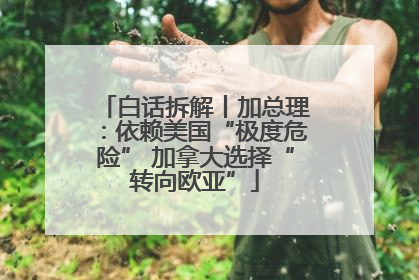 白话拆解丨加总理：依赖美国“极度危险” 加拿大选择“转向欧亚”