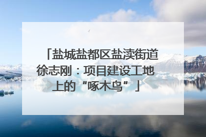 盐城盐都区盐渎街道徐志刚：项目建设工地上的“啄木鸟”