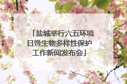 盐城举行六五环境日暨生物多样性保护工作新闻发布会