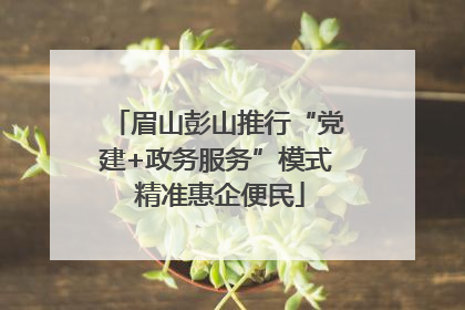 眉山彭山推行“党建+政务服务”模式 精准惠企便民