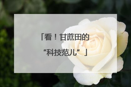看！甘蔗田的“科技范儿”