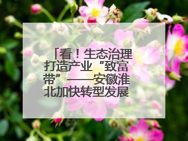 看！生态治理打造产业“致富带”——安徽淮北加快转型发展助力乡村振兴