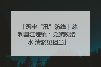 筑牢“汛”防线｜慈利县江垭镇：党旗映溇水 清淤见担当