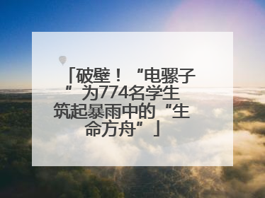 破壁！“电骡子”为774名学生筑起暴雨中的“生命方舟”