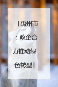 禹州市：政企合力推动绿色转型