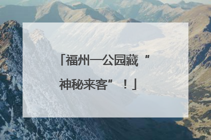福州一公园藏“神秘来客”！