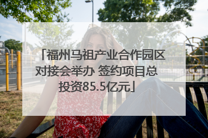 福州马祖产业合作园区对接会举办 签约项目总投资85.5亿元