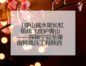 穿山越水架长虹 银线飞度护青山——探秘宁夏至湖南特高压工程陕西段建设现场