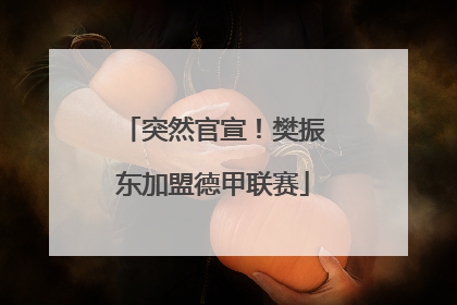 突然官宣！樊振东加盟德甲联赛