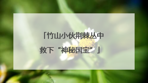 竹山小伙荆棘丛中救下“神秘国宝”