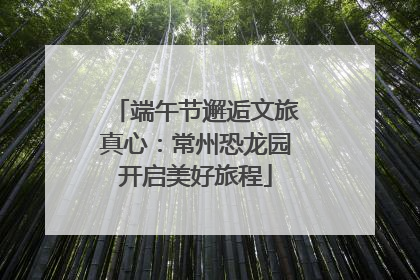 端午节邂逅文旅真心：常州恐龙园开启美好旅程