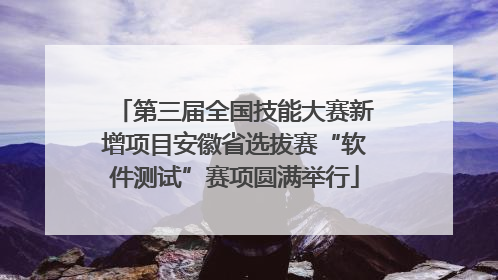 第三届全国技能大赛新增项目安徽省选拔赛“软件测试”赛项圆满举行