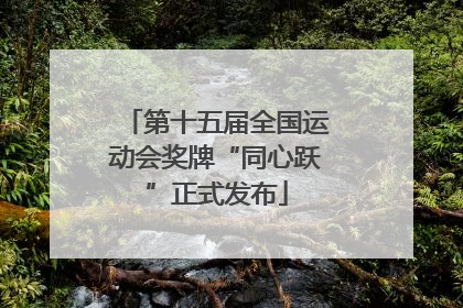 第十五届全国运动会奖牌“同心跃”正式发布