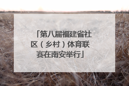 第八届福建省社区（乡村）体育联赛在南安举行
