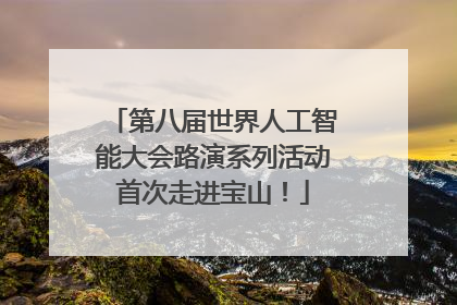 第八届世界人工智能大会路演系列活动首次走进宝山！