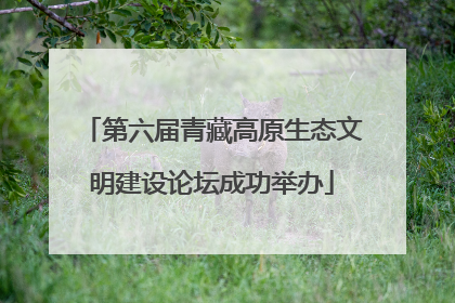 第六届青藏高原生态文明建设论坛成功举办