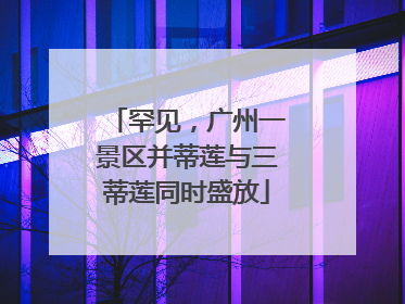 罕见，广州一景区并蒂莲与三蒂莲同时盛放