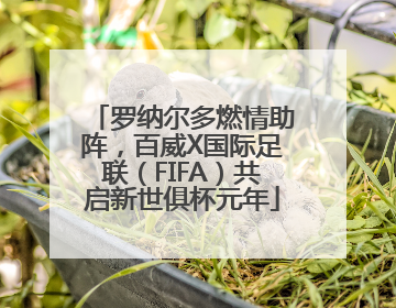 罗纳尔多燃情助阵，百威X国际足联（FIFA）共启新世俱杯元年
