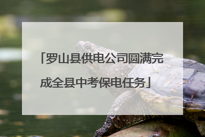 罗山县供电公司圆满完成全县中考保电任务