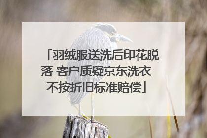 羽绒服送洗后印花脱落 客户质疑京东洗衣不按折旧标准赔偿