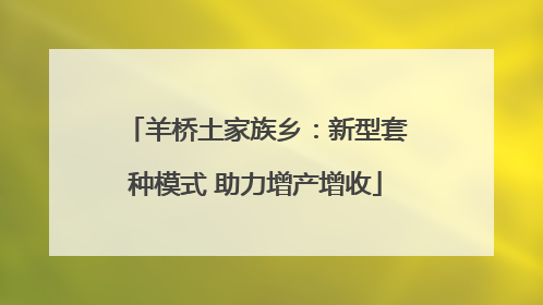 羊桥土家族乡：新型套种模式 助力增产增收