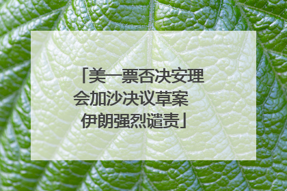 美一票否决安理会加沙决议草案 伊朗强烈谴责