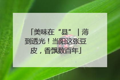 美味在“县”｜薄到透光！当阳这张豆皮，香飘数百年