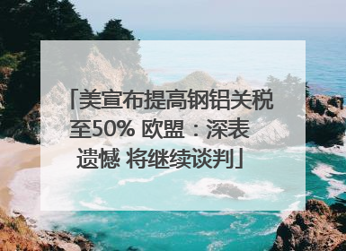 美宣布提高钢铝关税至50% 欧盟：深表遗憾 将继续谈判