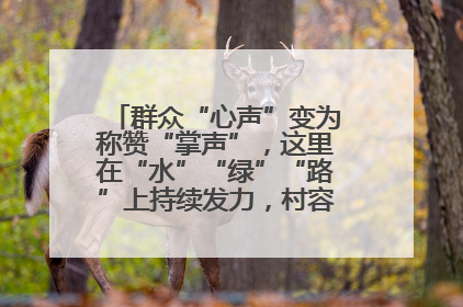 群众“心声”变为称赞“掌声”，这里在“水”“绿”“路”上持续发力，村容村貌焕然一新