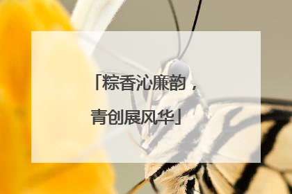 粽香沁廉韵，青创展风华