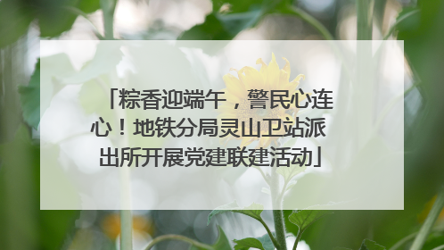 粽香迎端午，警民心连心！地铁分局灵山卫站派出所开展党建联建活动