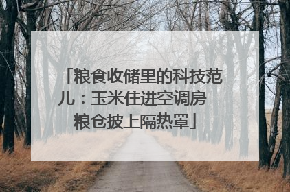 粮食收储里的科技范儿：玉米住进空调房 粮仓披上隔热罩