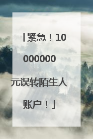 紧急！10000000元误转陌生人账户！