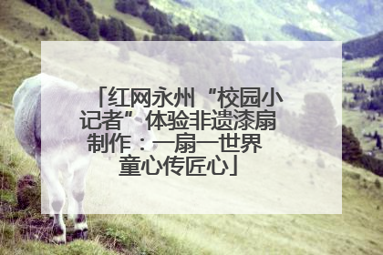 红网永州“校园小记者”体验非遗漆扇制作：一扇一世界 童心传匠心